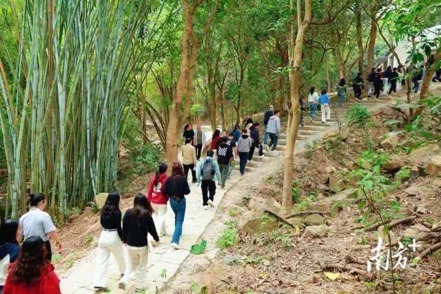 线来五桂山解锁“绿野仙踪”麻将胡了app一山一道一专